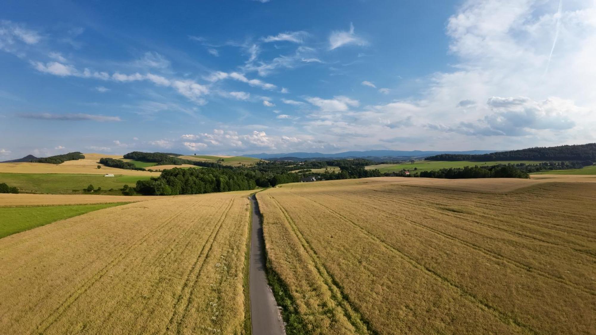 Agroturystyka Brzozowe Wzgorze Wlen エクステリア 写真